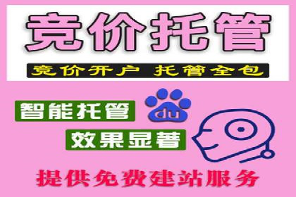 竞价开户操作指南：实战案例展示